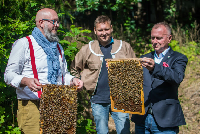 To się opyla. W Jeleniej Górze powstała pasieka gminna