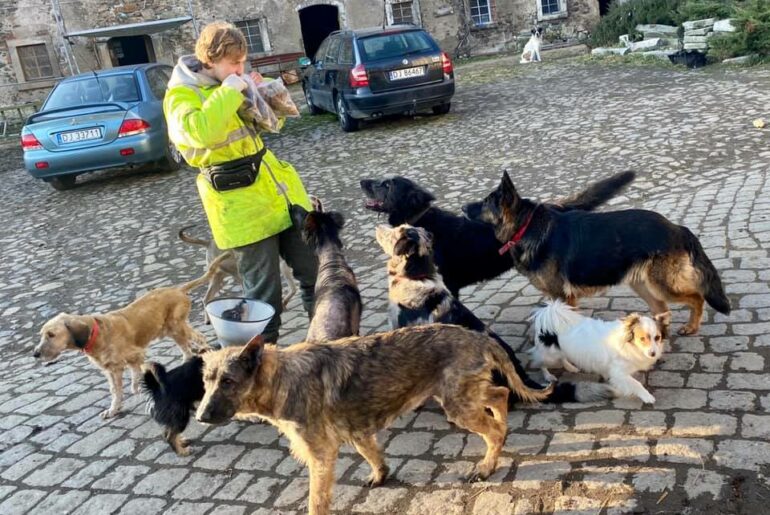 Uratowali zwierzęta. Policja chce dla nich kary.