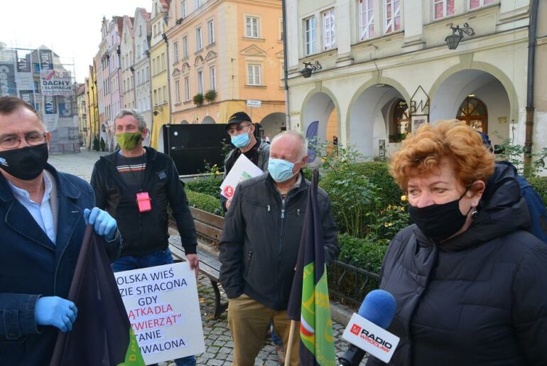 Znikną krowy z sudeckich łąk?