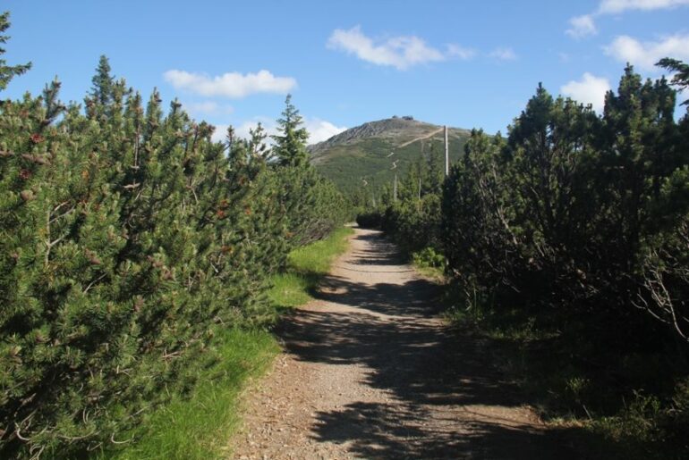 Utrudnienia na szlaku na Śnieżkę po czeskiej stronie