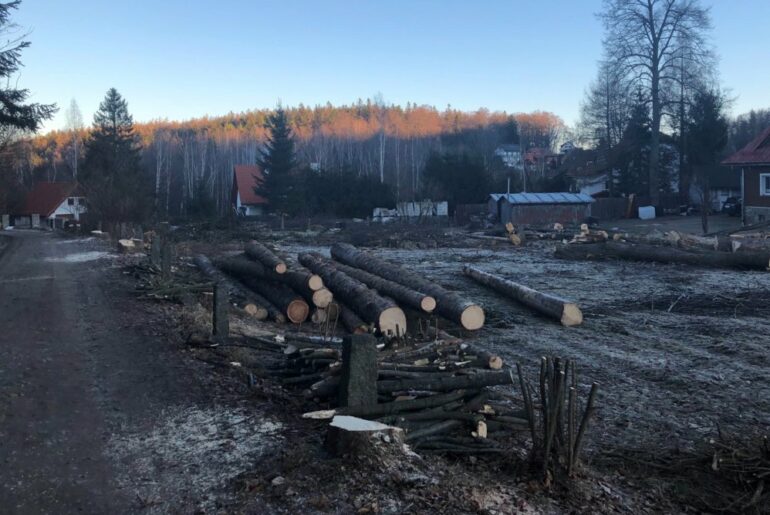 Patodeweloperka? Nie w tym przypadku