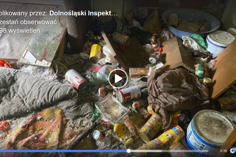 Psy wśród robactwa i śmieci. Co robili urzędnicy?