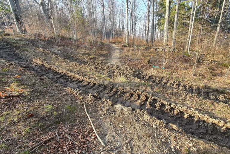 Zrujnowane single tracki, ale jest nadzieja