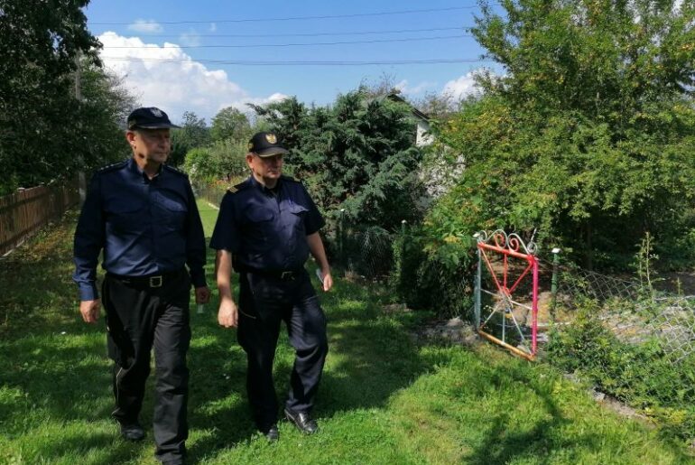 Kradną warzywa z ogródków działkowych