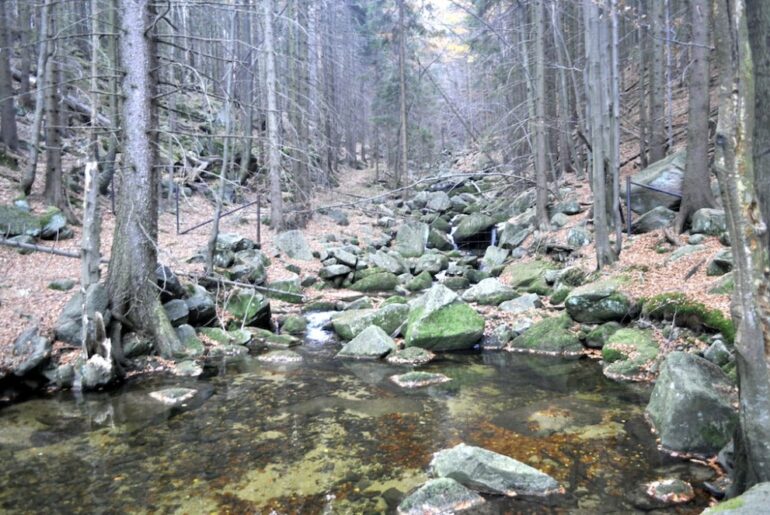 Wodnik zainwestował w ujęcia górskie