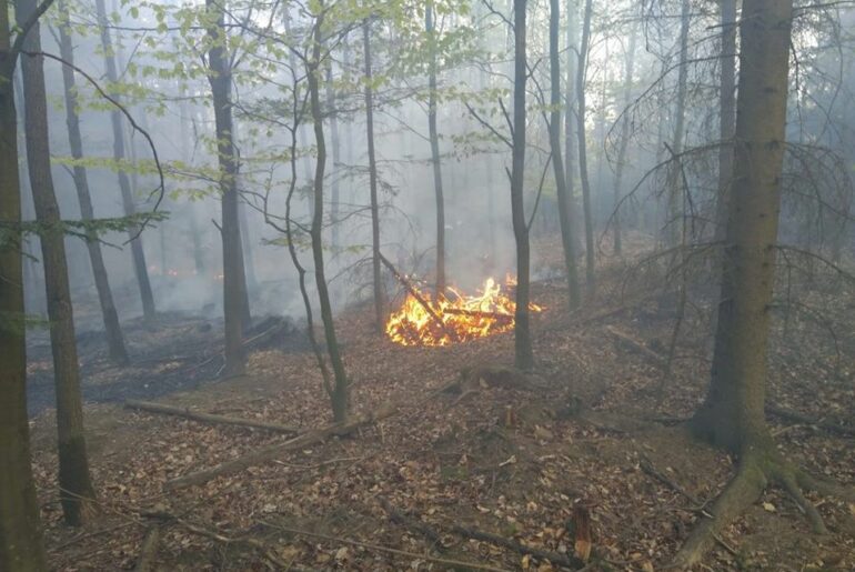Palił się Wielki Las Lubański