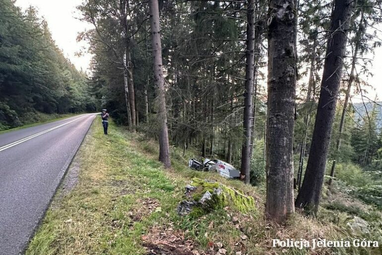 Wypadła z drogi i uderzyła w drzewo. Okazało się, że miała blisko 0,8 promila