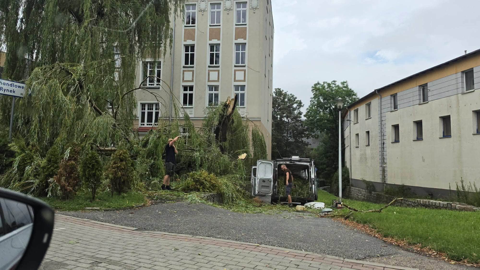 Gigantyczna burza w Jeleniej Górze. Lało, wiało i łamało drzewa