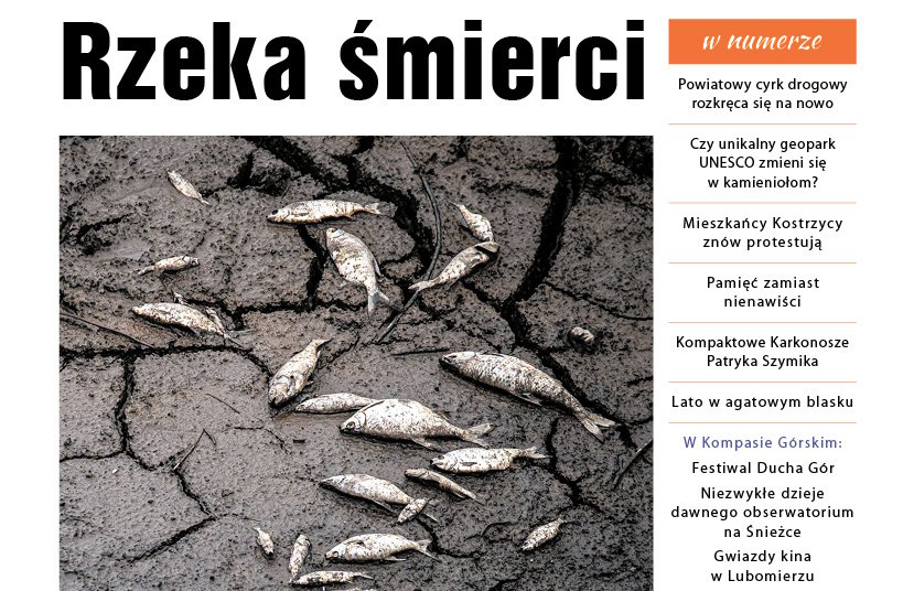 W najnowszym wydaniu Nowin Jeleniogórskich Nr 9/2026